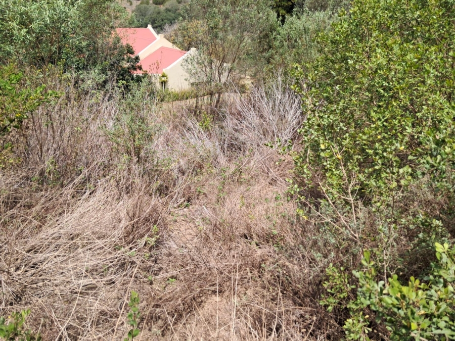 Commercial Property for Sale in Sandhoogte Western Cape